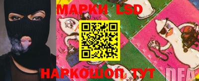 шишки Нарткала