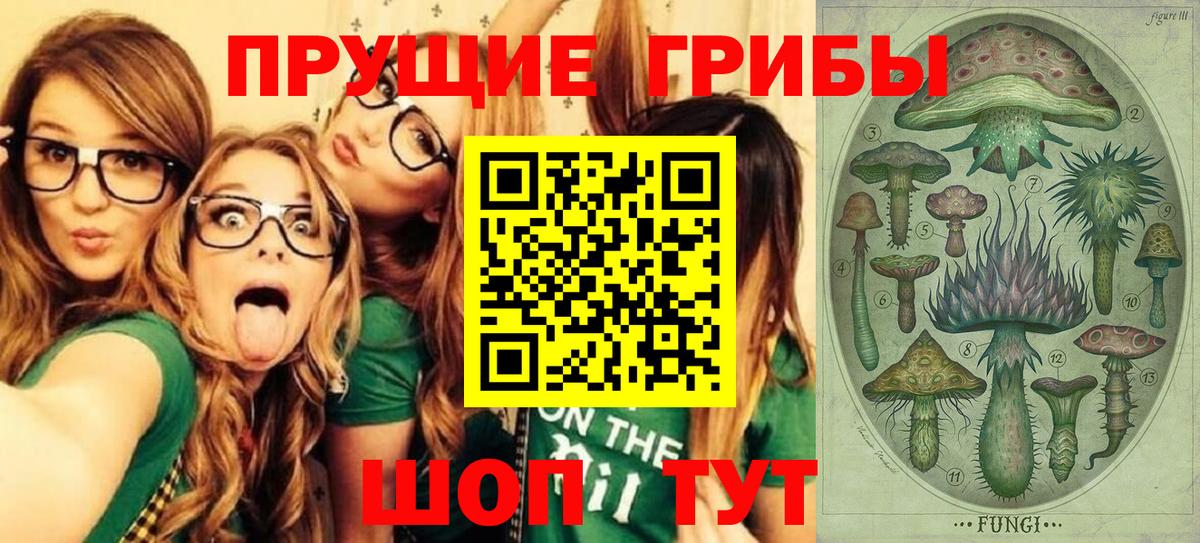 Псилоцибиновые грибы Psilocybine cubensis  Вход с VPN  Домодедово 